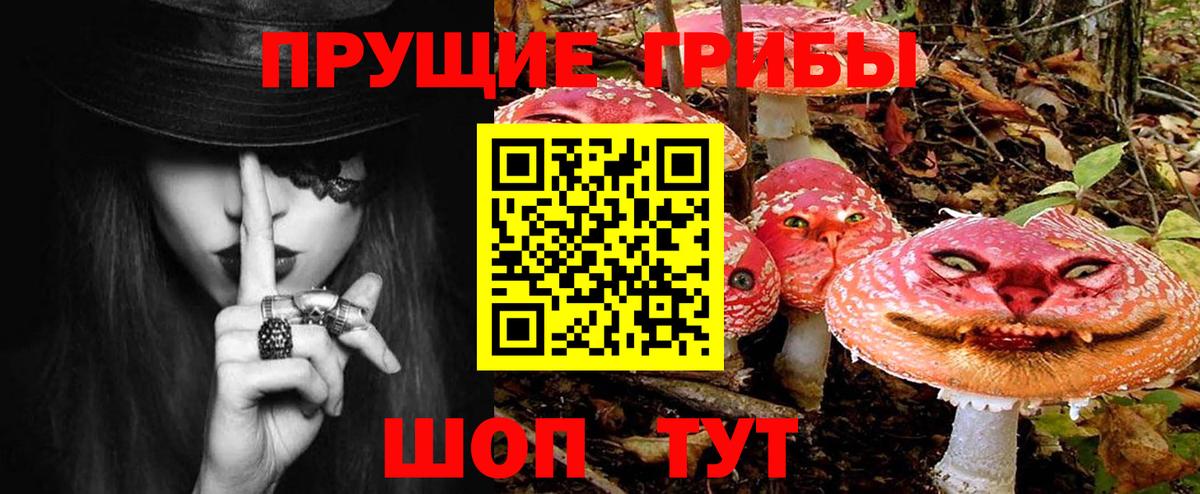 Галлюциногенные грибы Psilocybe  Вход с VPN  Стрежевой 